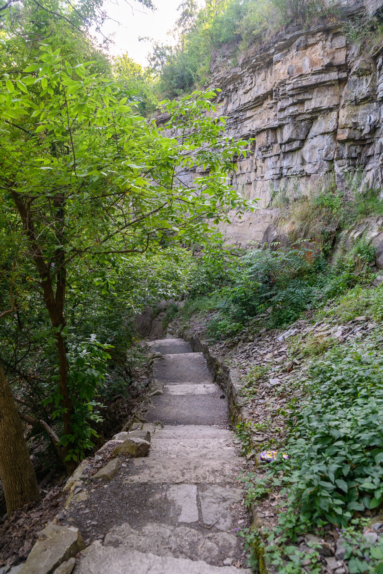 Gorge Trail, Falls, Jet Boat  (4 of 55)